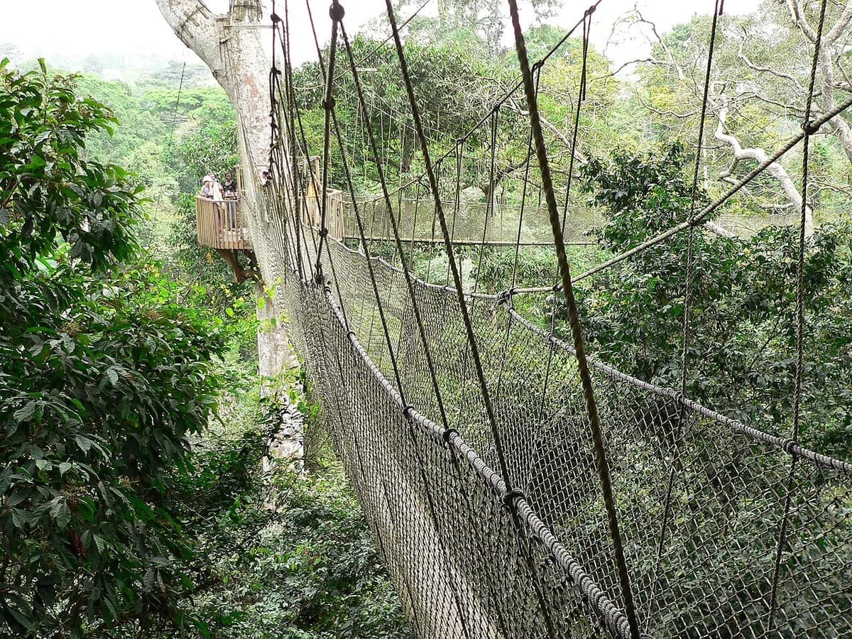 The canopy walkway at Kakum National Park