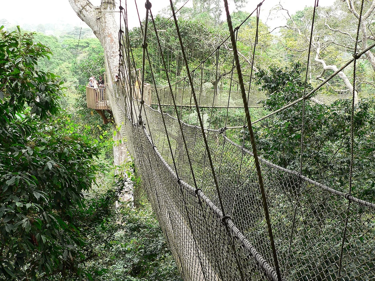 Kakum National Park